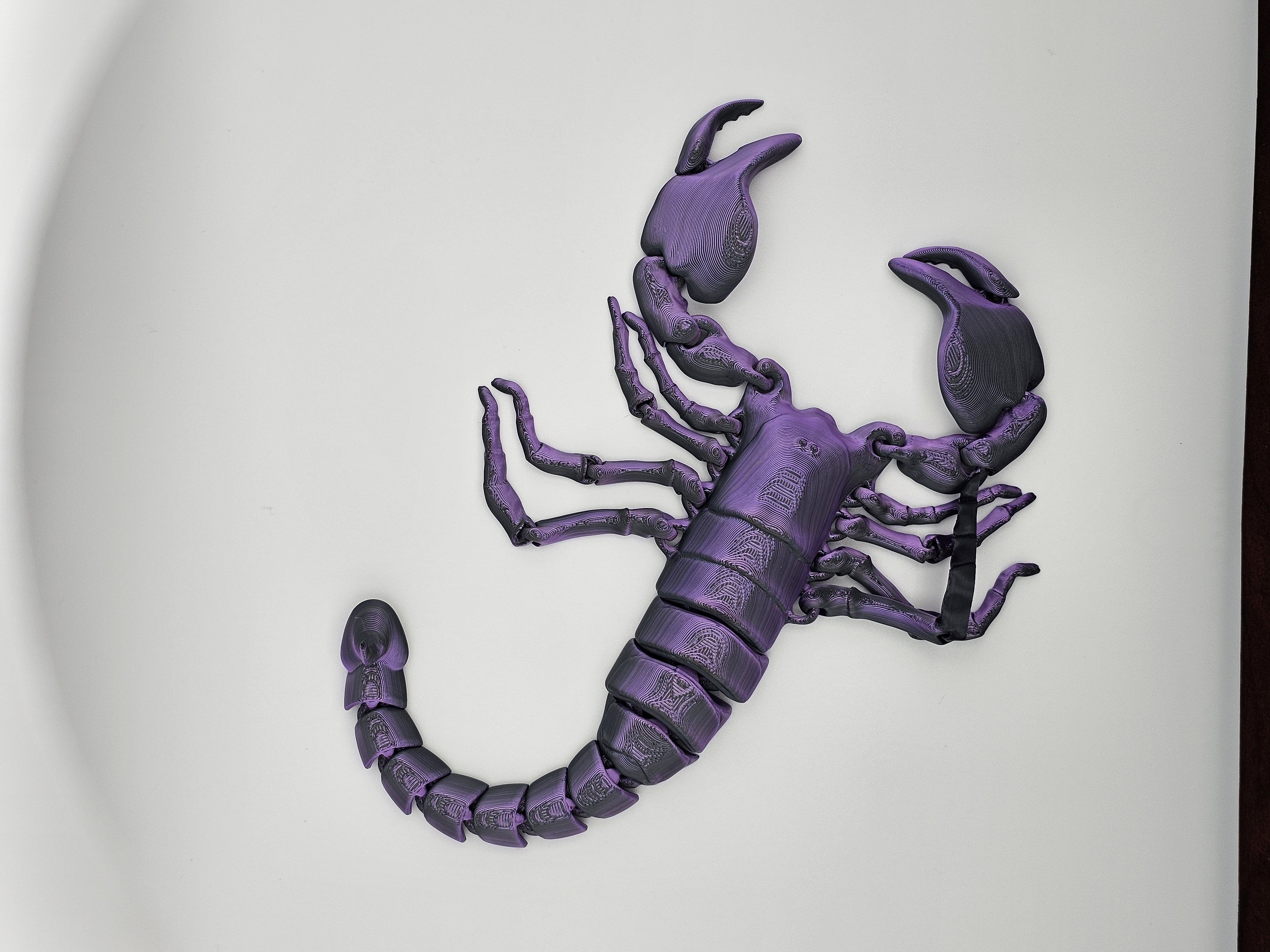 Flexi Scorpion