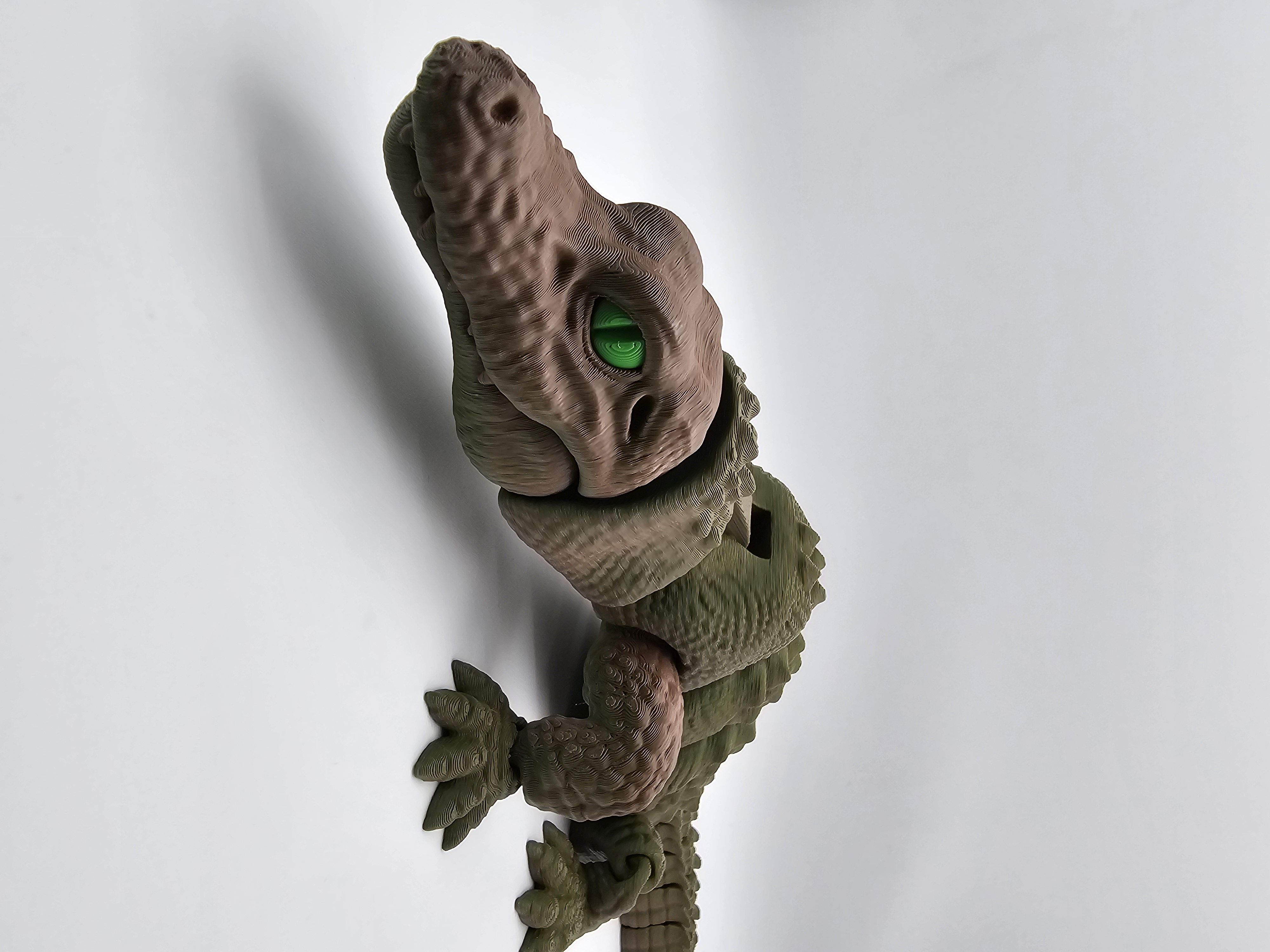 Alligator
