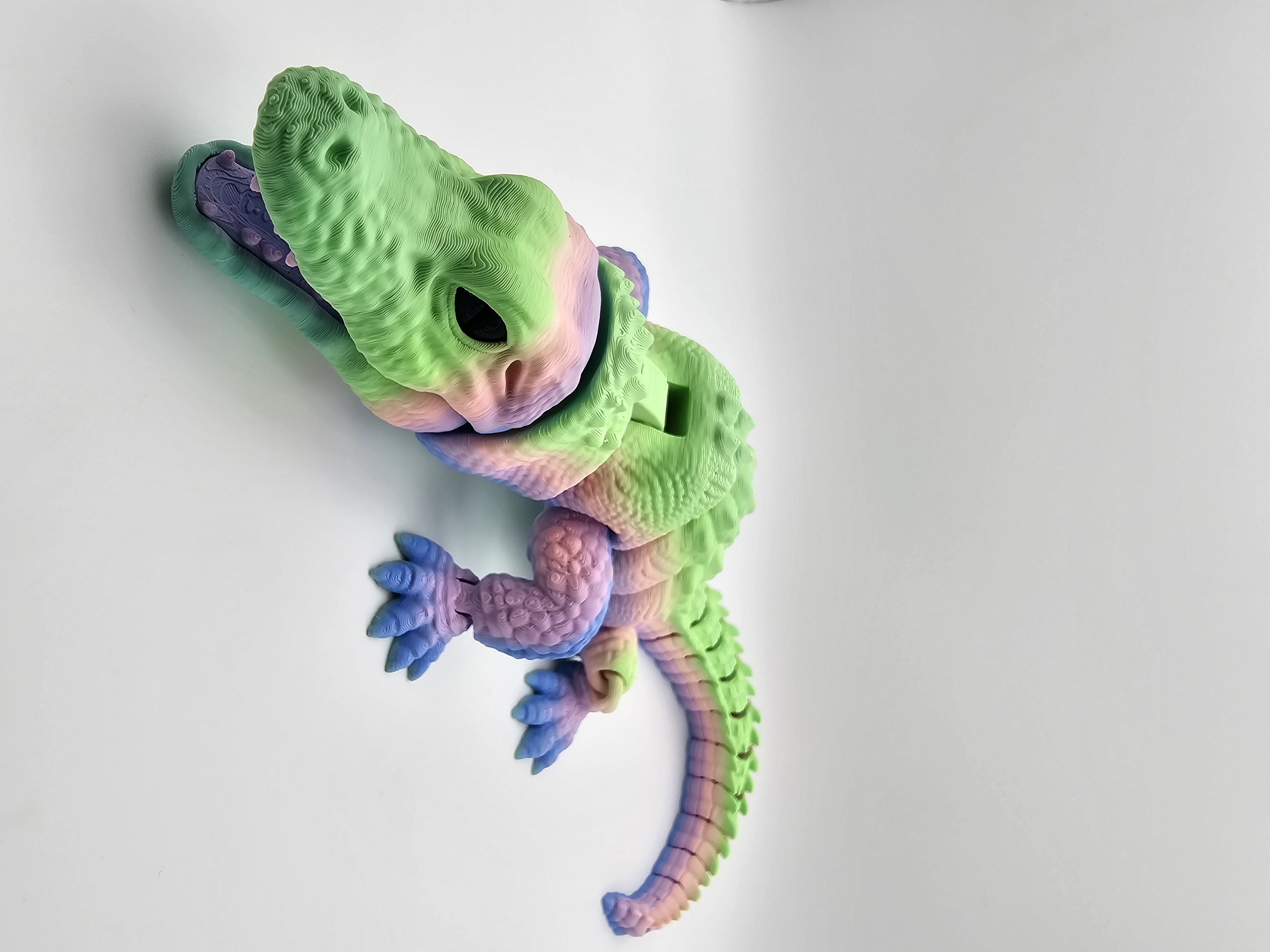 Alligator