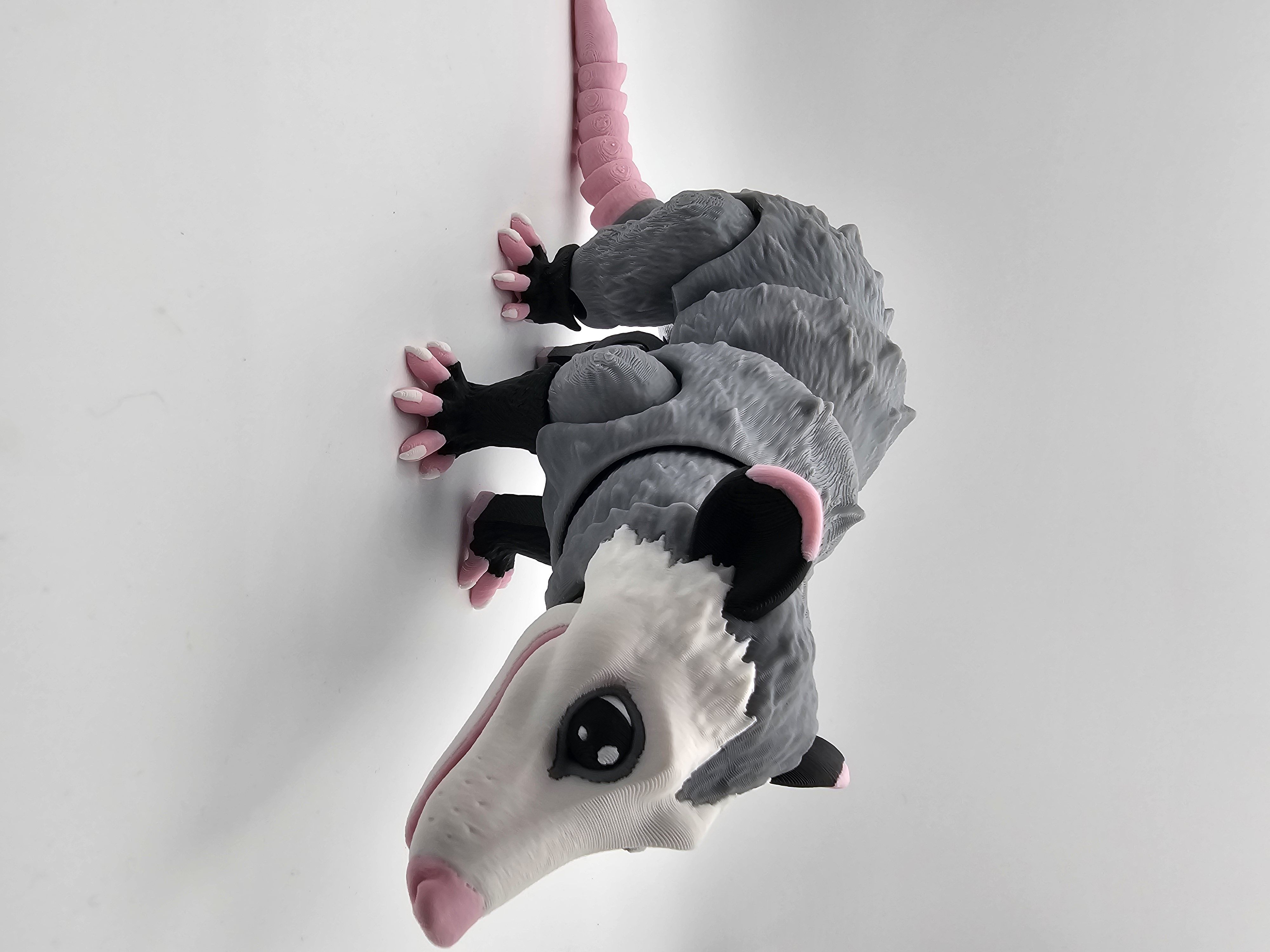Opossum