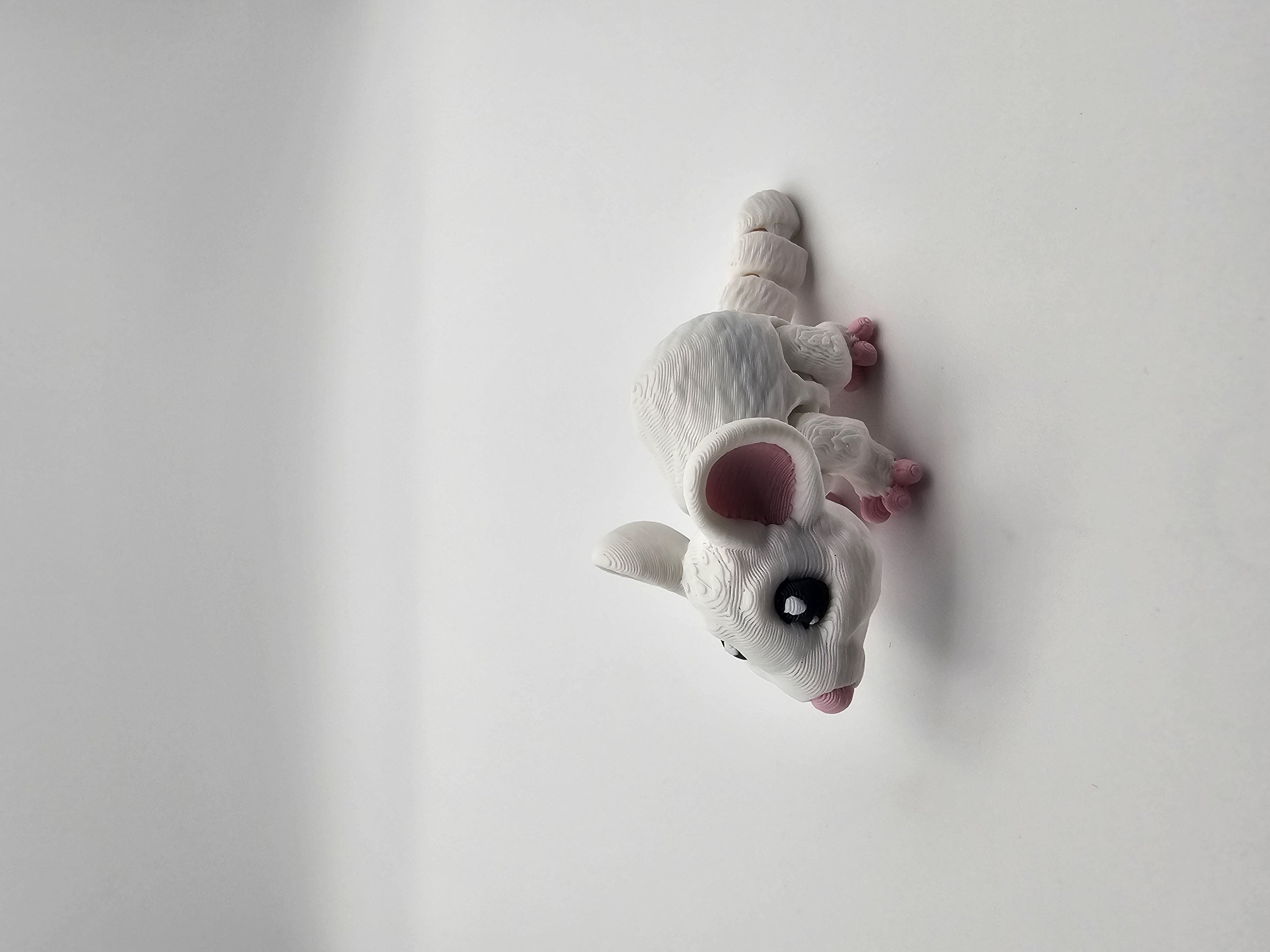 Tiny Mouse