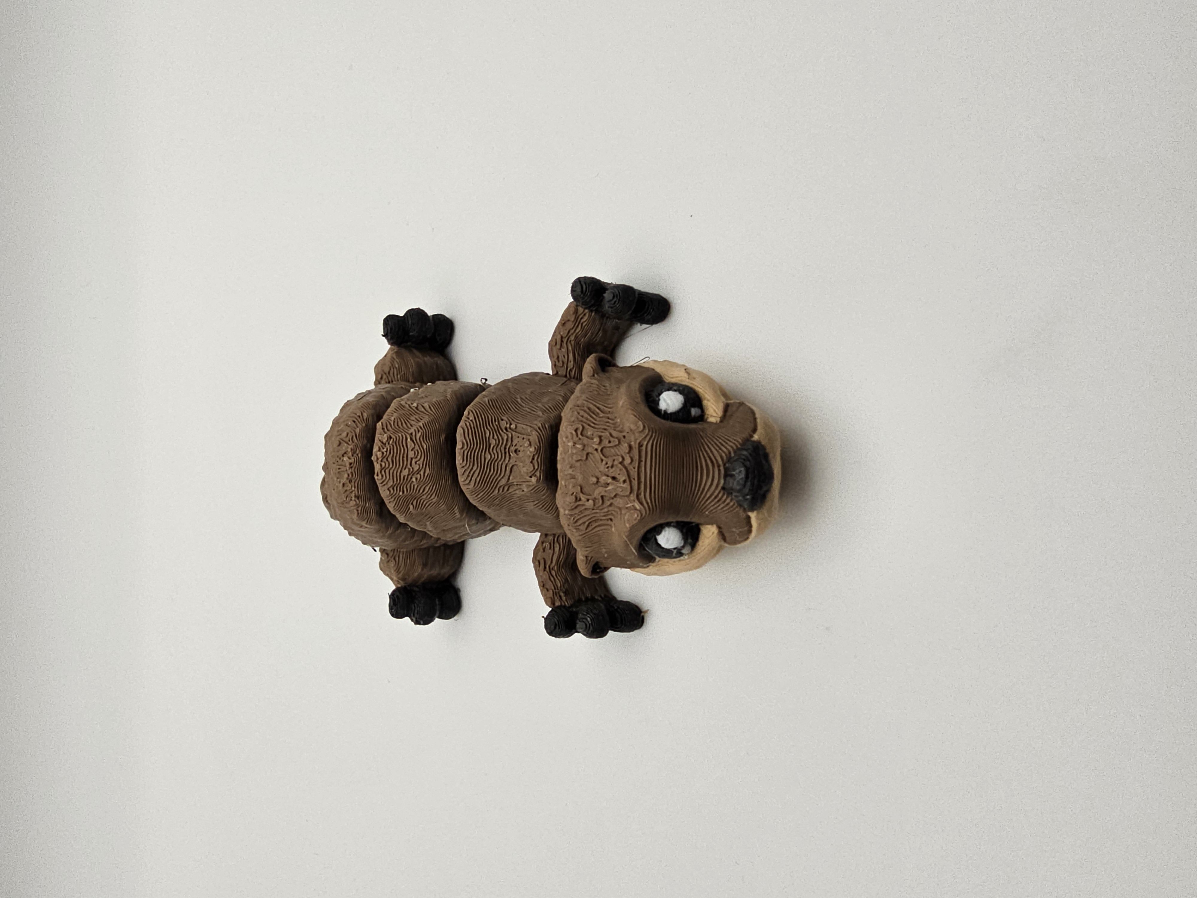 Tiny Otter