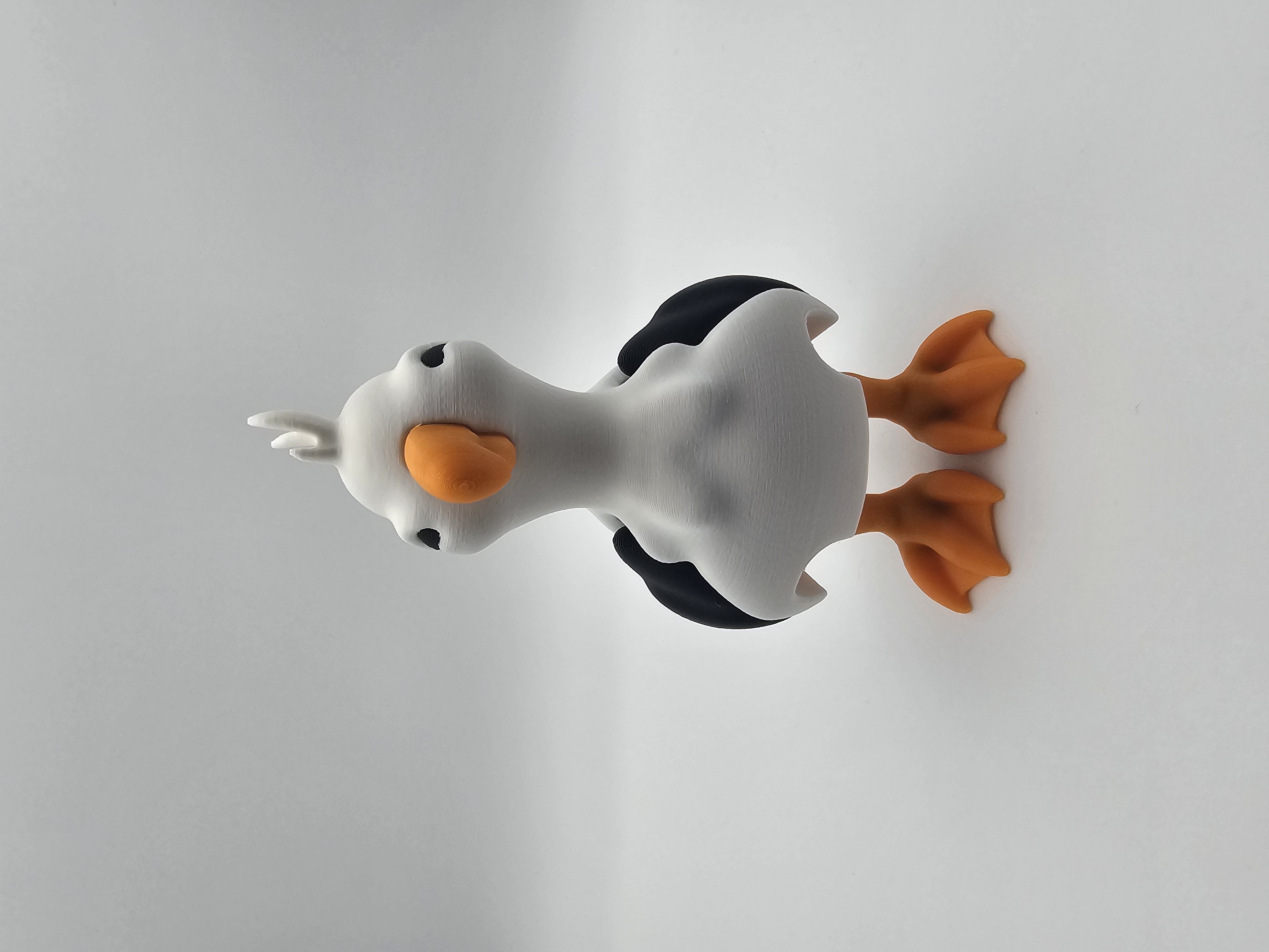 Seagull