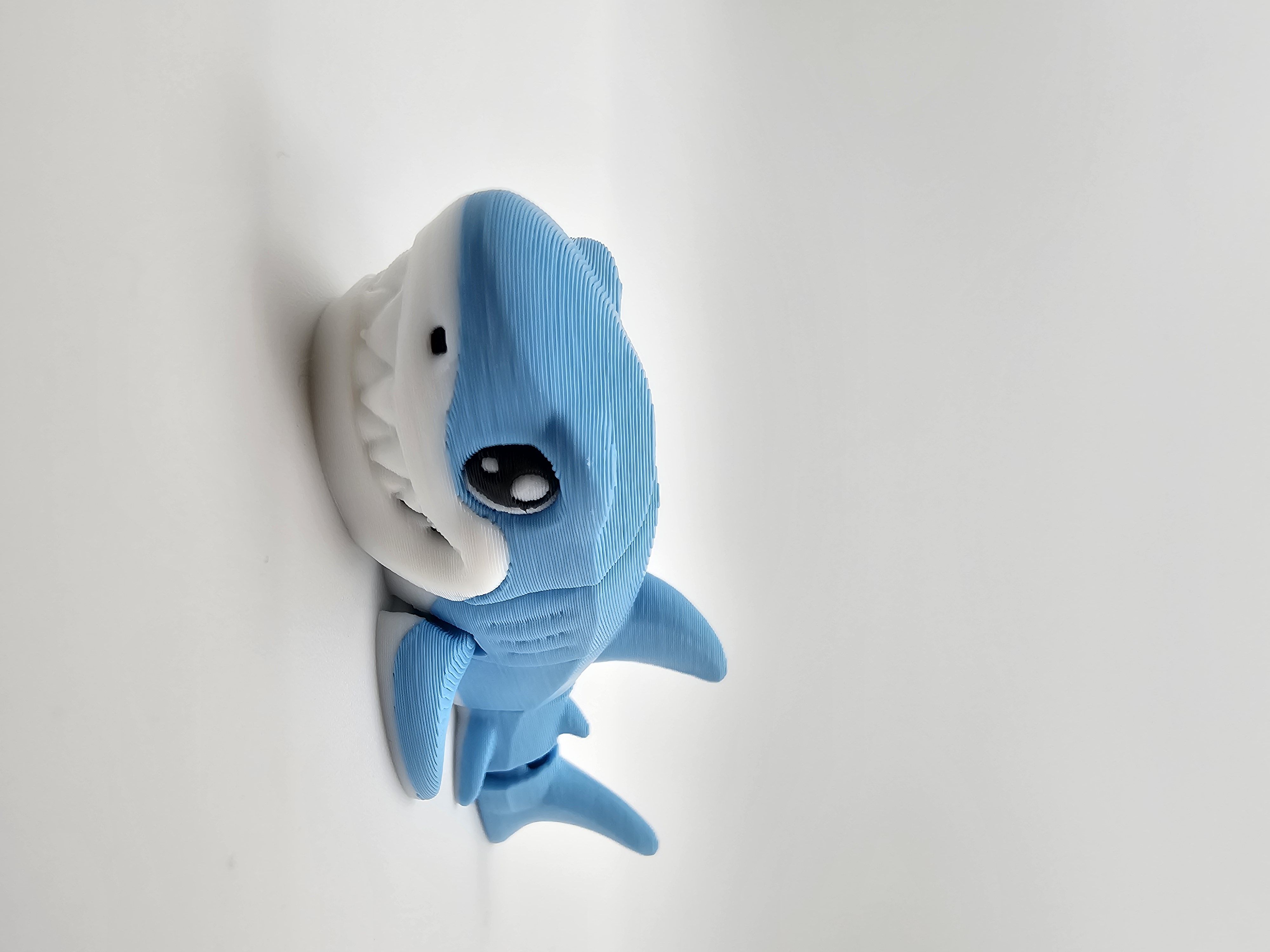 Mini Great White Shark