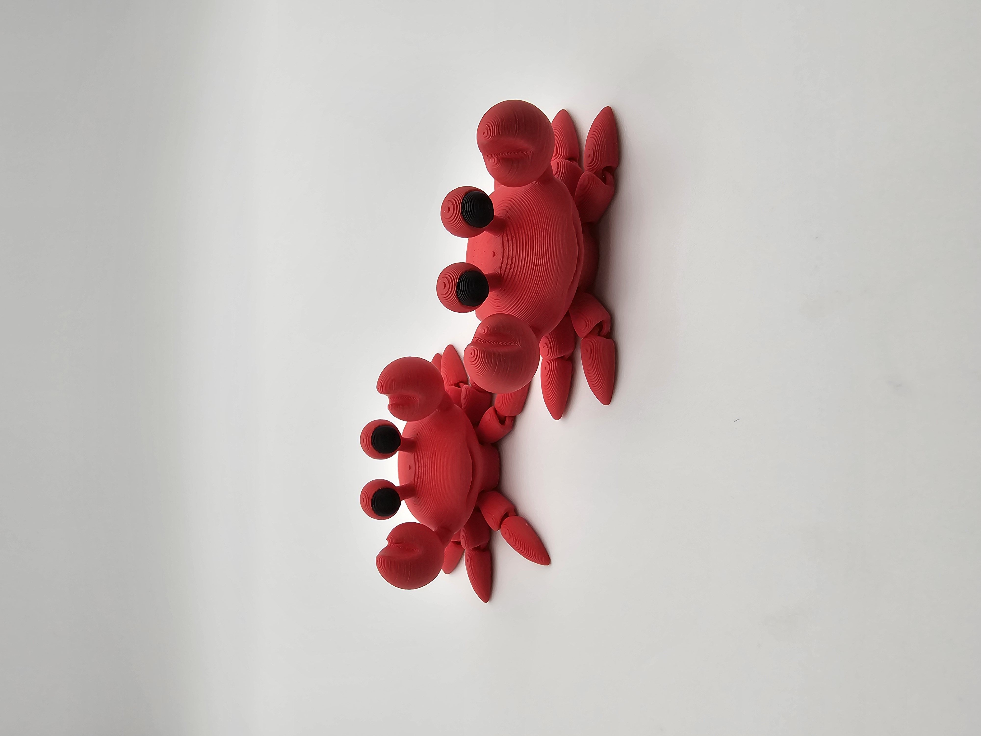 Crab