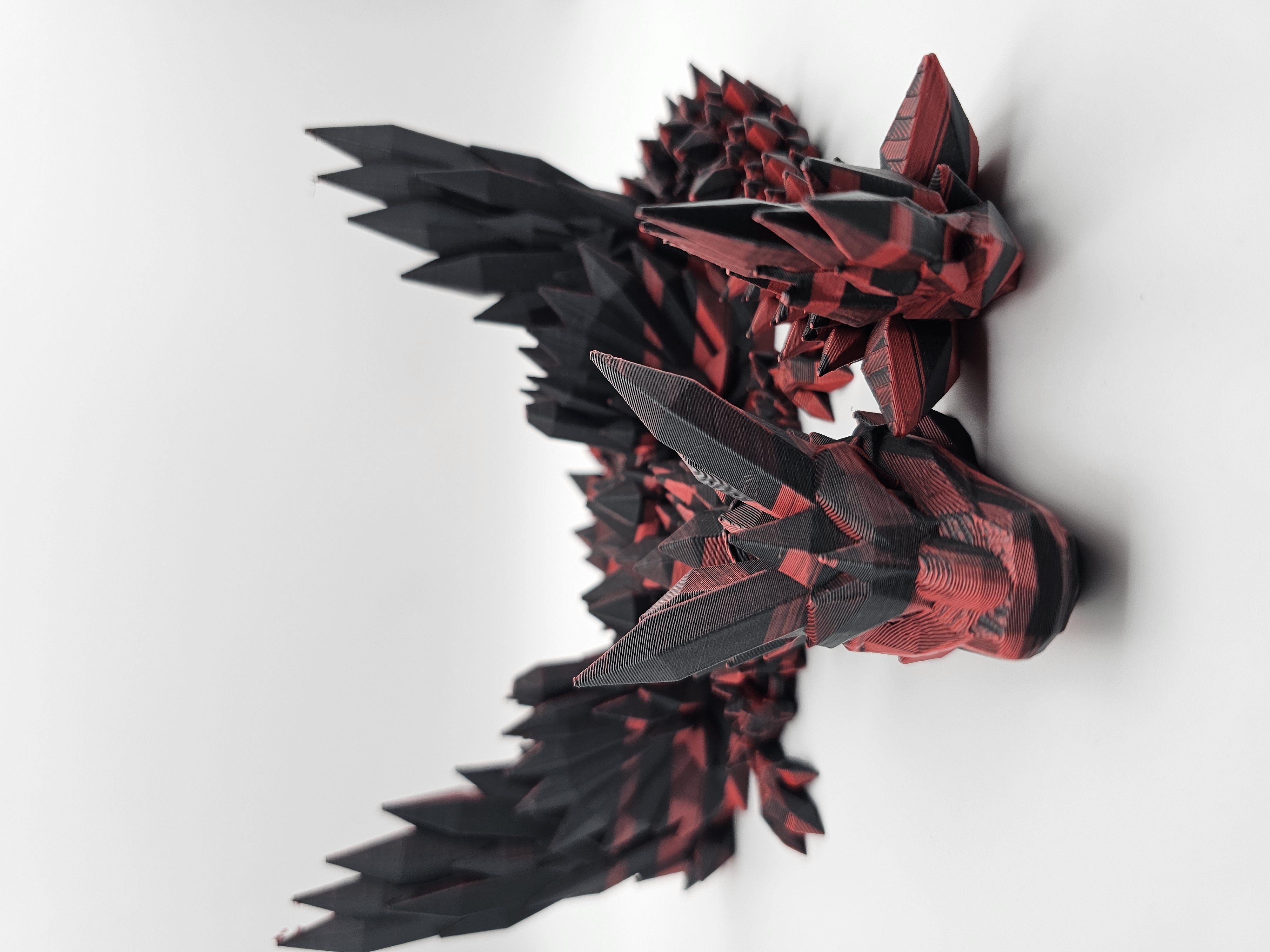 Shadow Winged CD - L