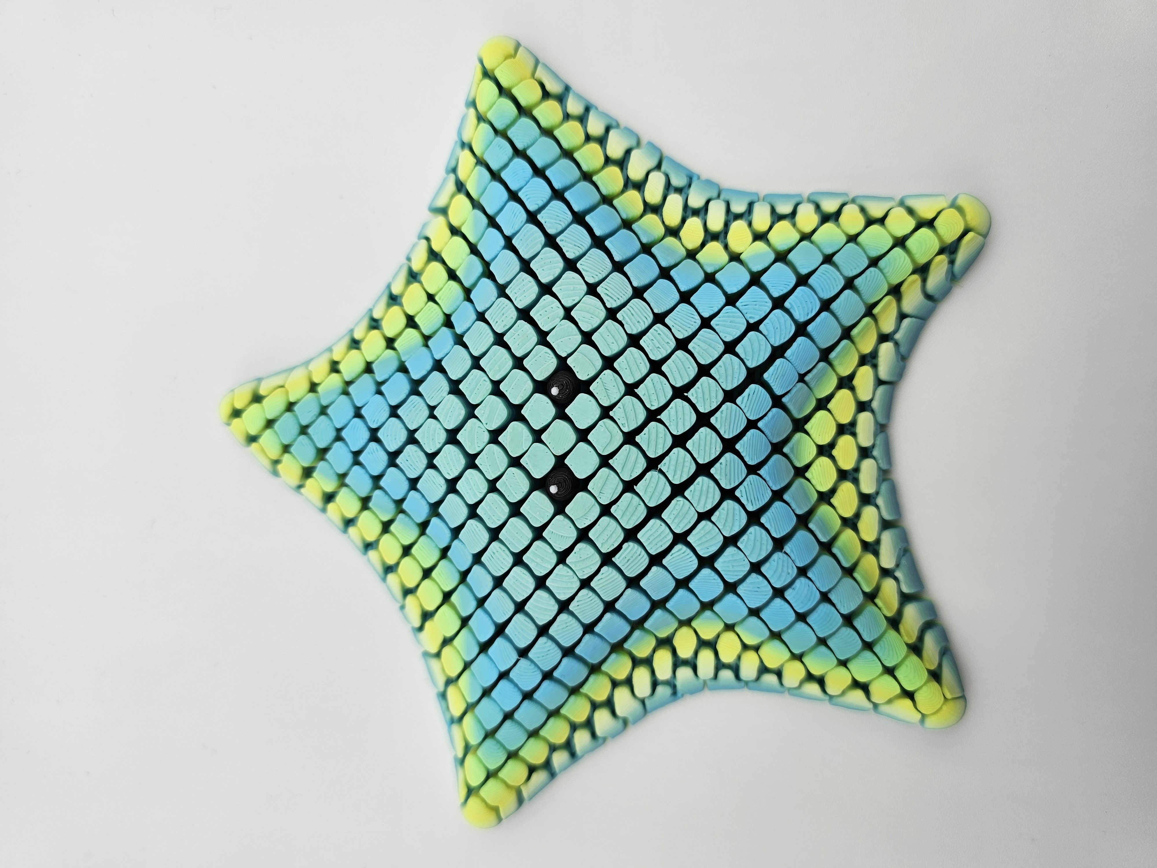 Betsi the sea star
