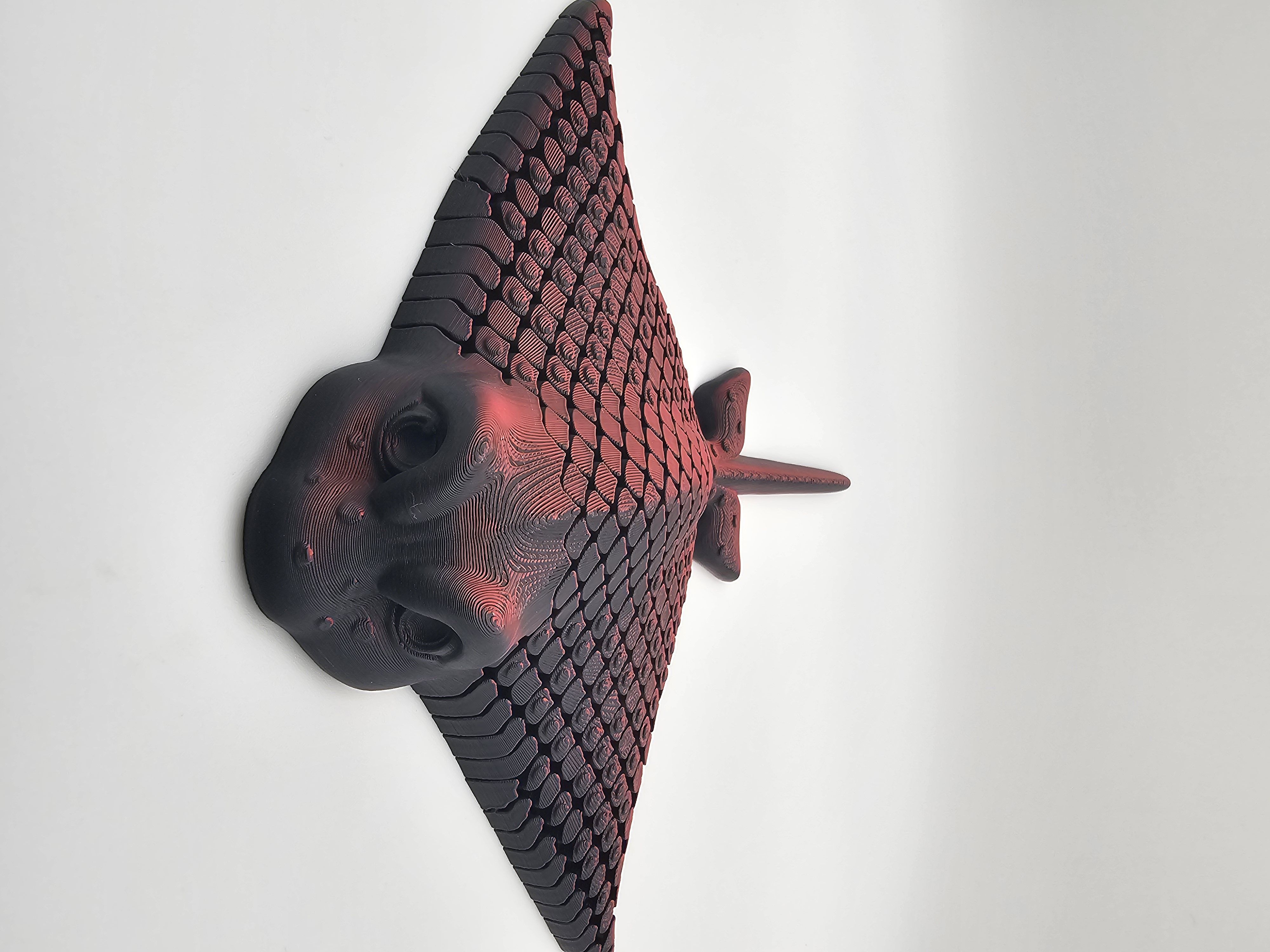 Shadow Eagle Ray