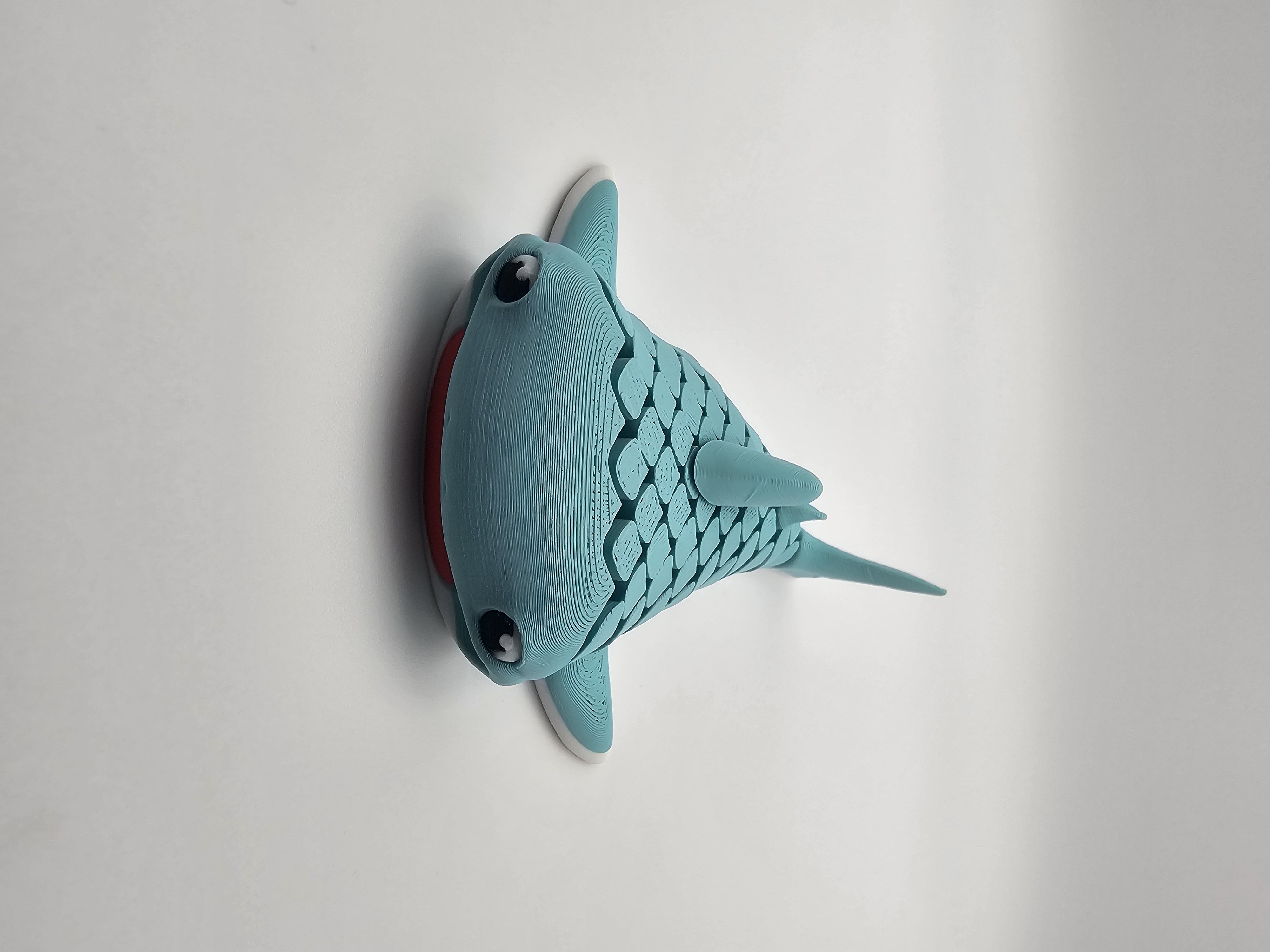 Shark