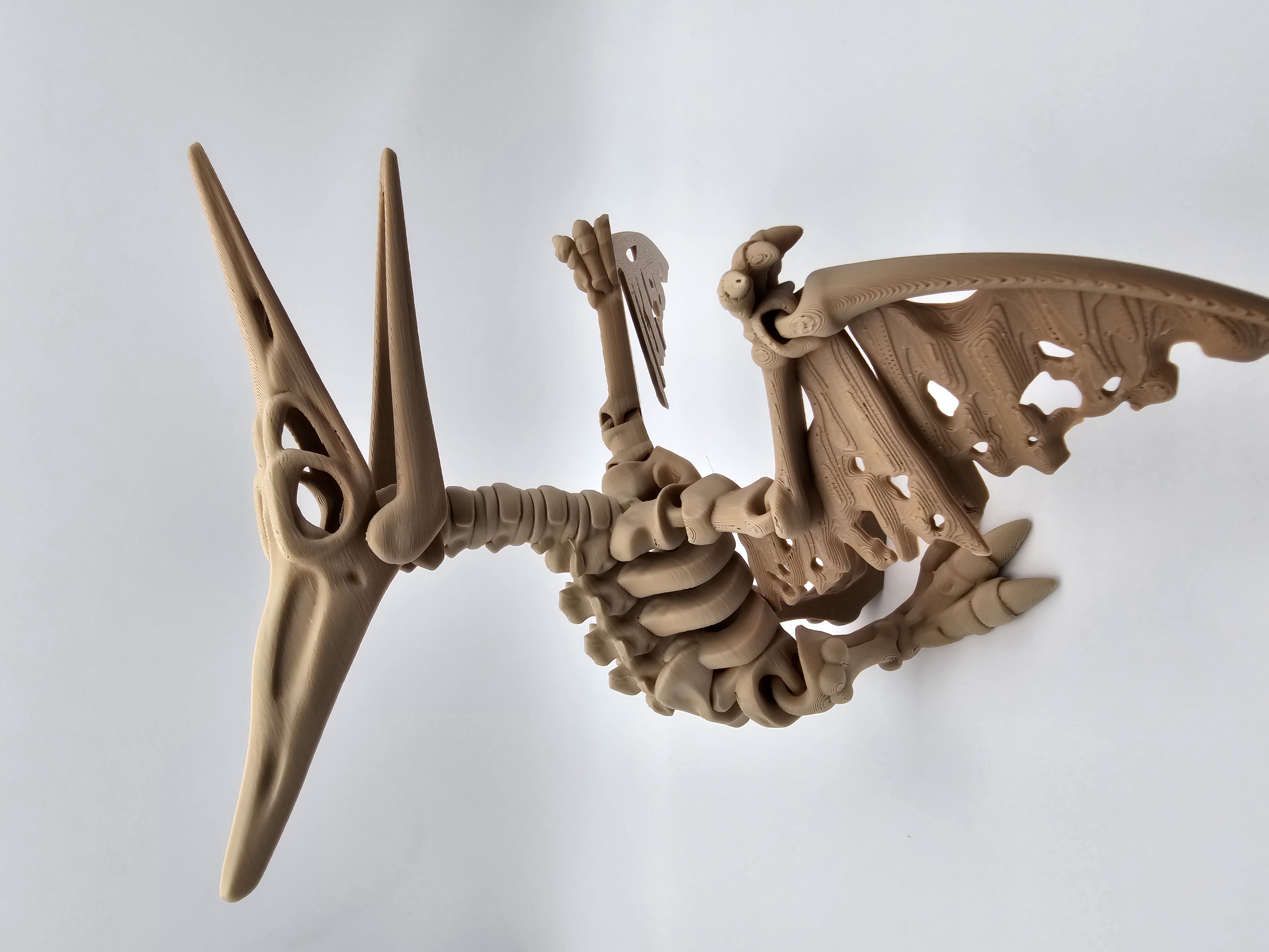 Skeleton Pteranodon