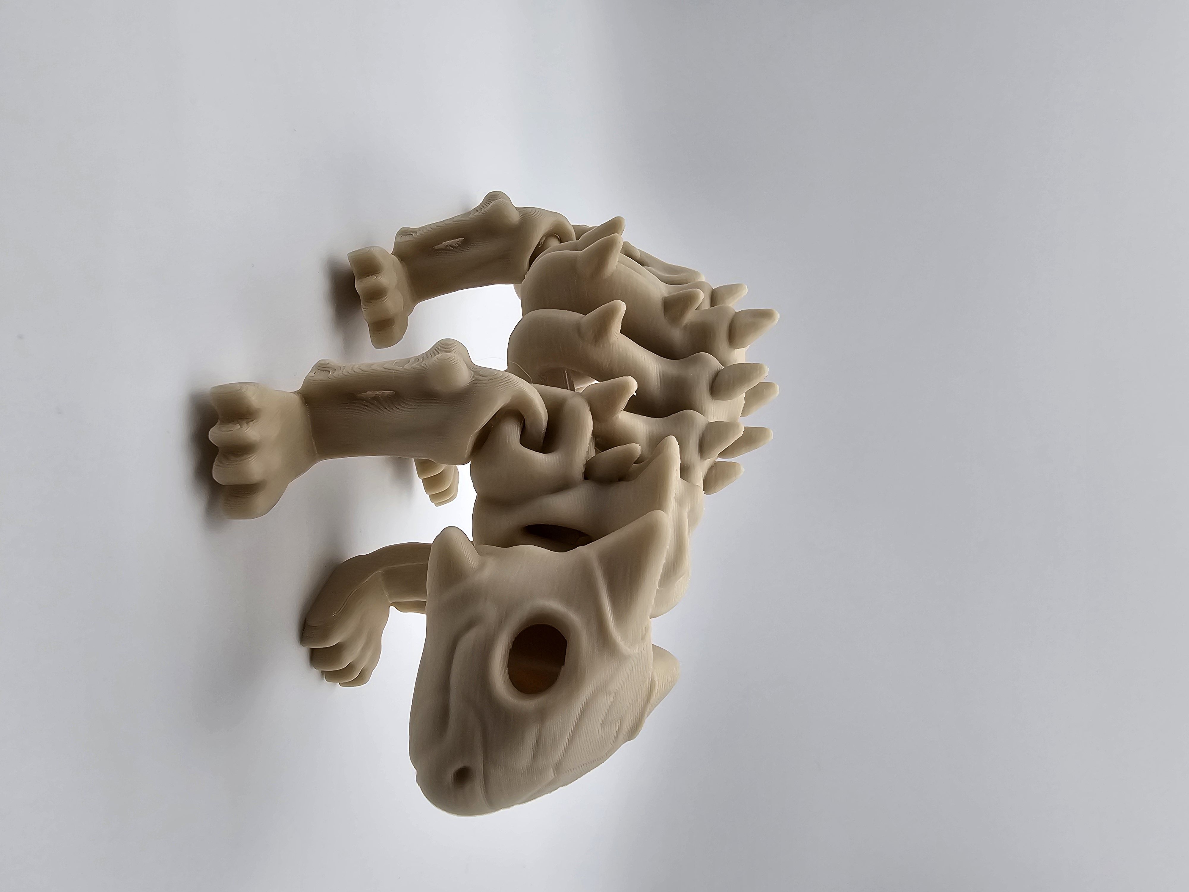 Skeleton Ankylosaurus