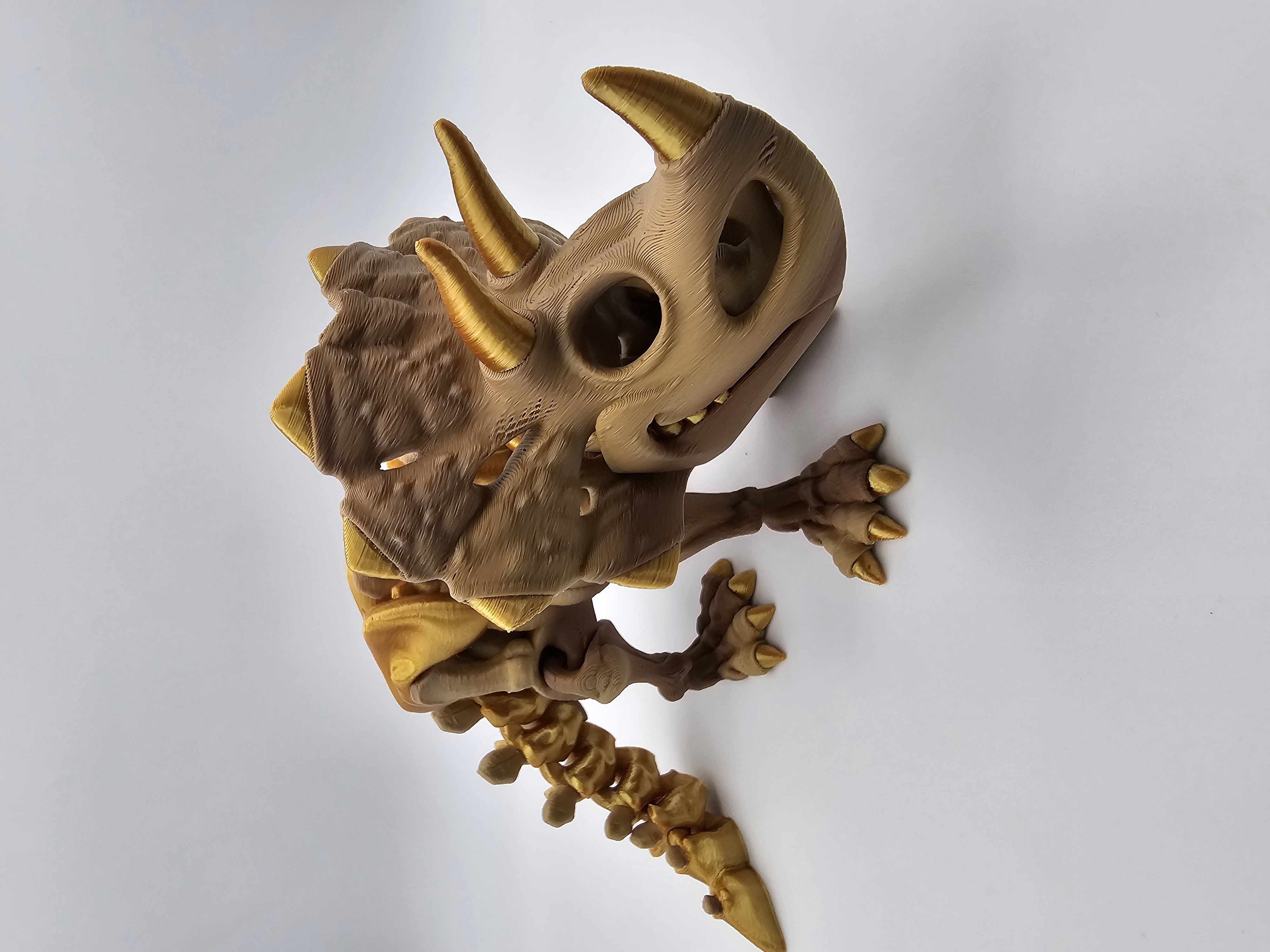 Skeleton Triceratops